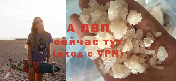 PSILOCYBIN Тихвин