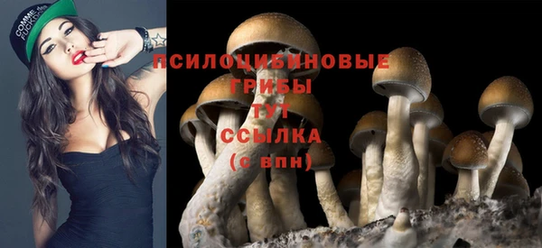 тгк Аркадак