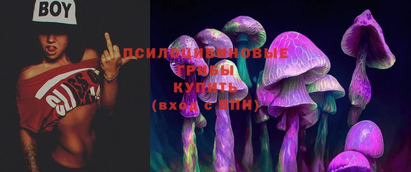 тгк Аркадак