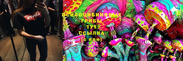тгк Аркадак