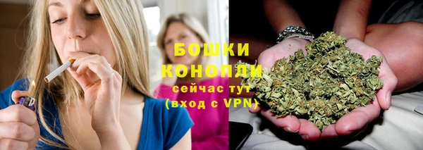 тгк Аркадак