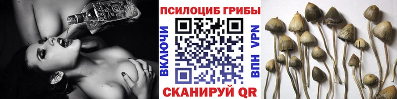 даркнет телеграм  ссылка на мегу как войти  Отрадная  Псилоцибиновые грибы Psilocybe 